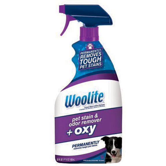 Woolite Carpet Cleaner Review 