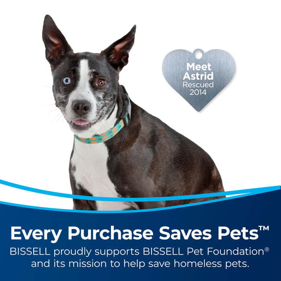 BISSELL 24613 Pet Hair Eraser Turbo Plus Lightweight Vacuum, Tangle-Free  Brush Roll, Powerful Pet Hair Pick-up, SmartSeal Allergen System,  Specialized