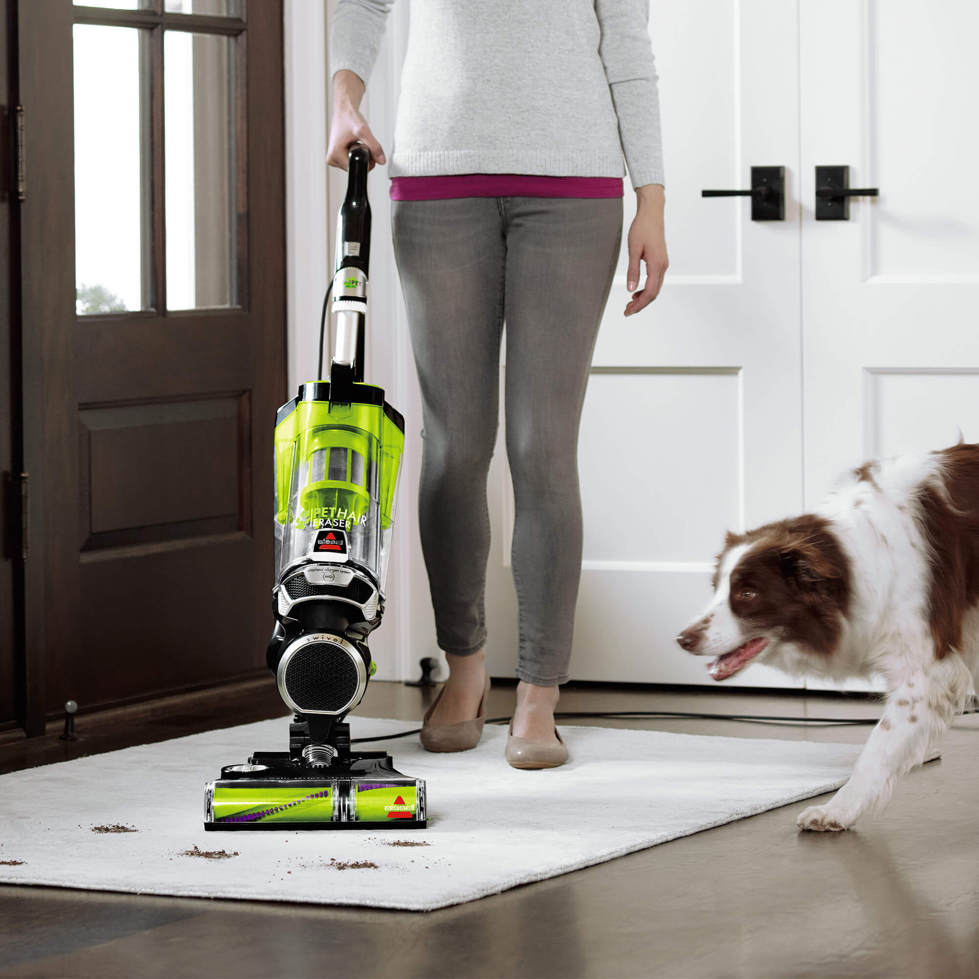 vacuum cleaner for pet hair